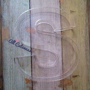 (NWOT) Acrylic Letter "S" Decor